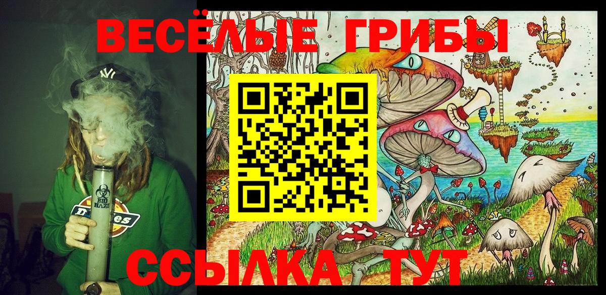 Псилоцибиновые грибы Cubensis  Вход с VPN  Ярославль 