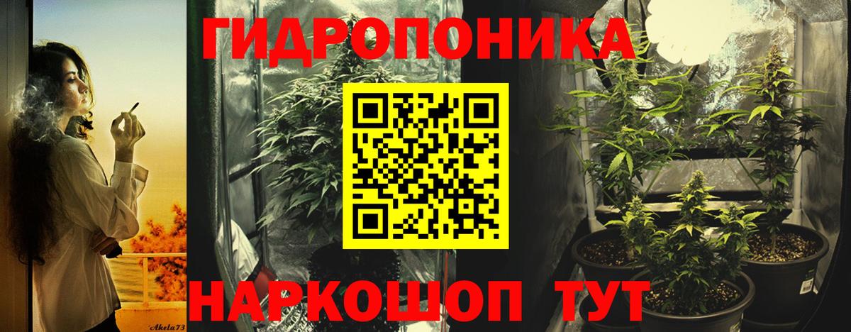 Конопля гибрид  Бошки марихуана White Widow  Шишки марихуана THC 21%  Ярославль  Шишки марихуана MAZAR  Вход с VPN 